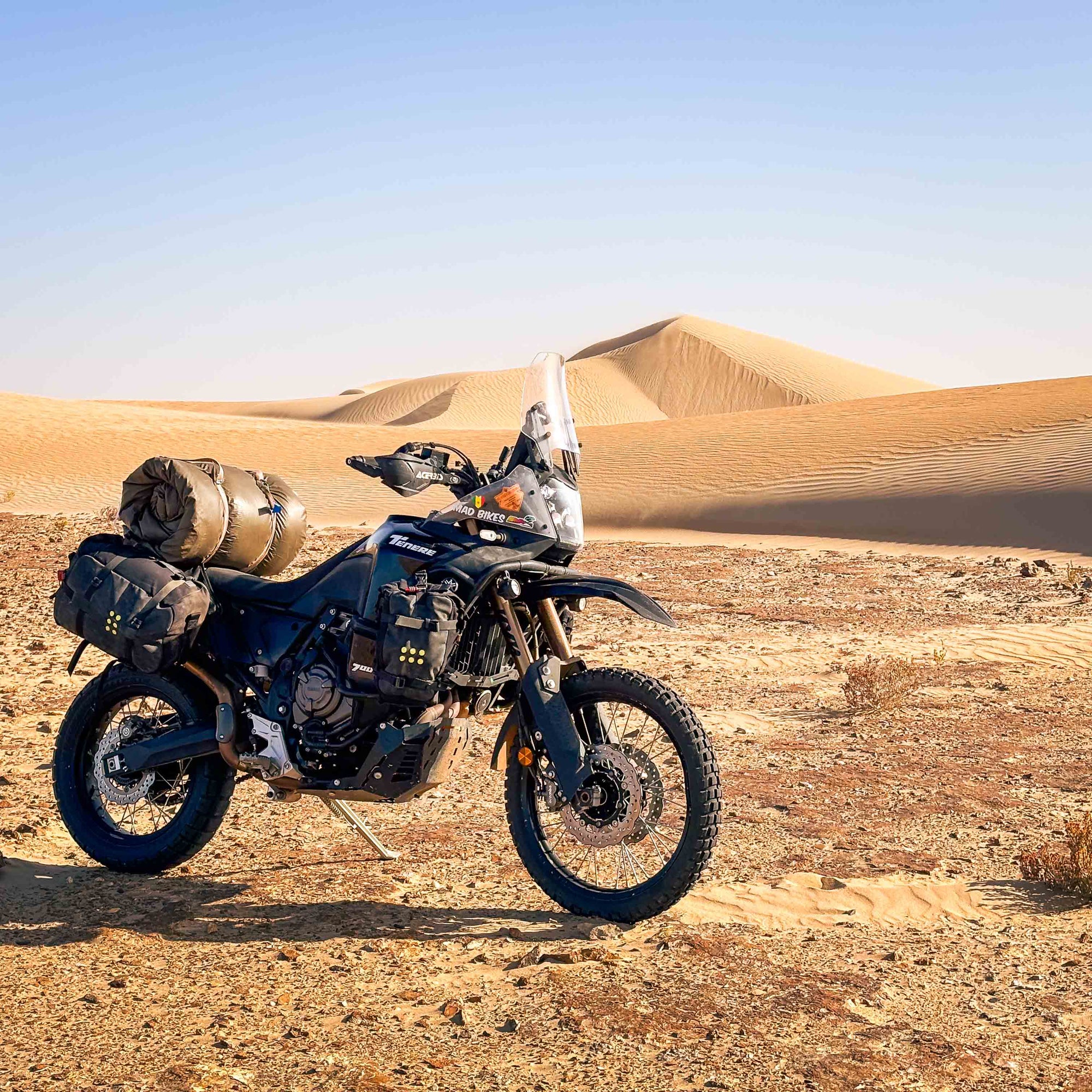 RideWild Tours
